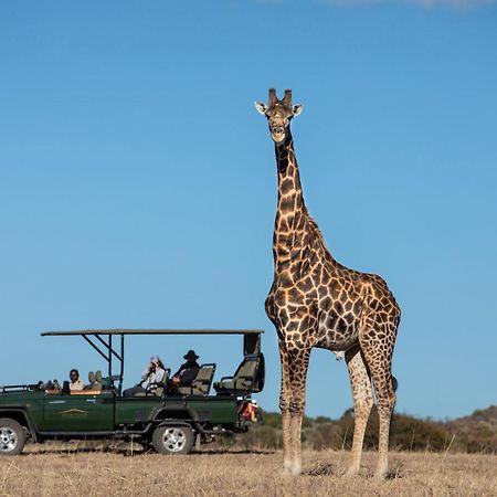 Safari Plains Vila Mabula Game Reserve Exterior foto