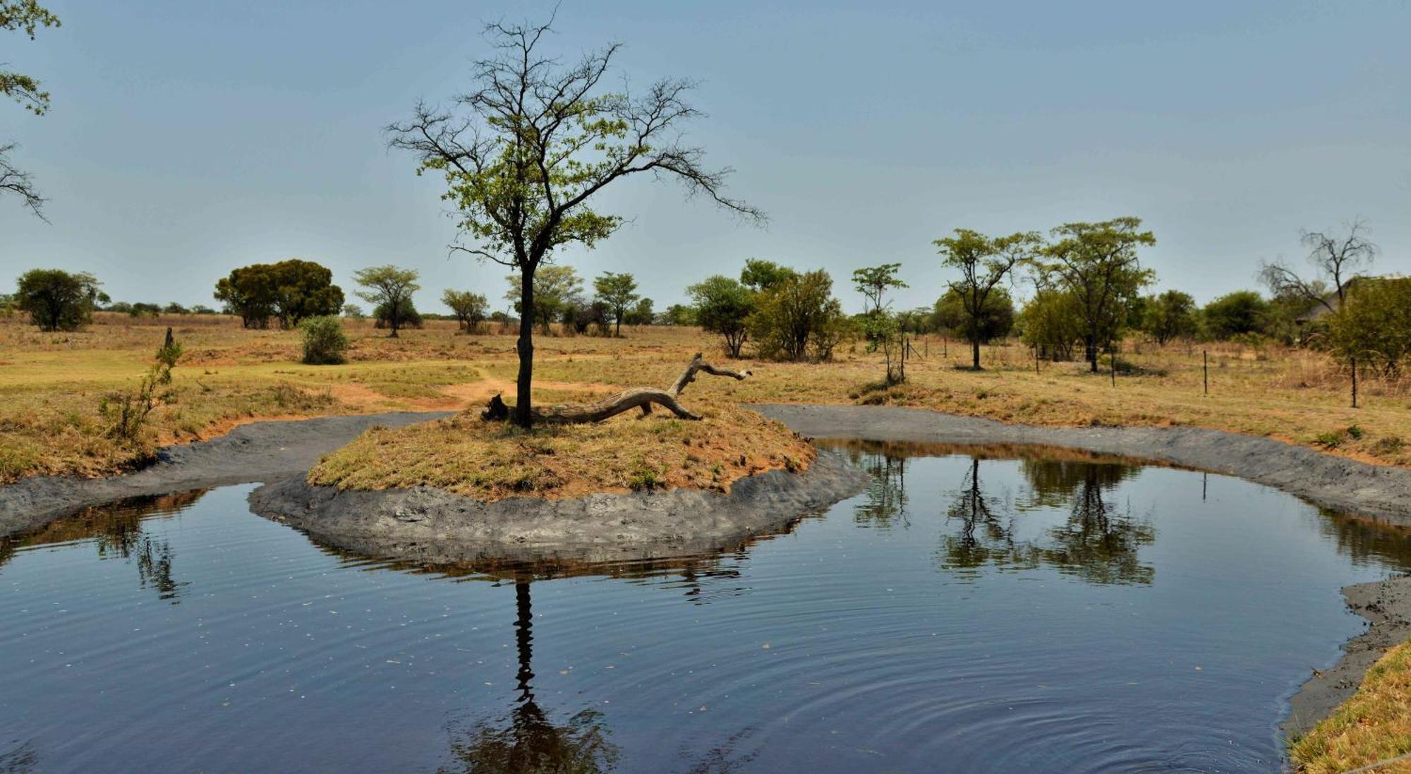 Safari Plains Vila Mabula Game Reserve Exterior foto