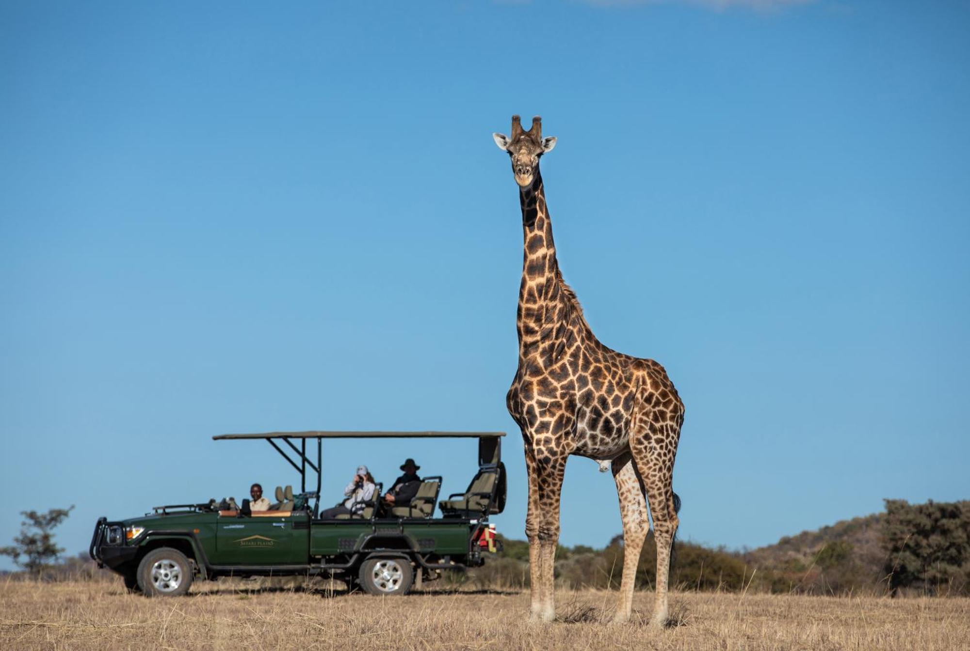 Safari Plains Vila Mabula Game Reserve Exterior foto