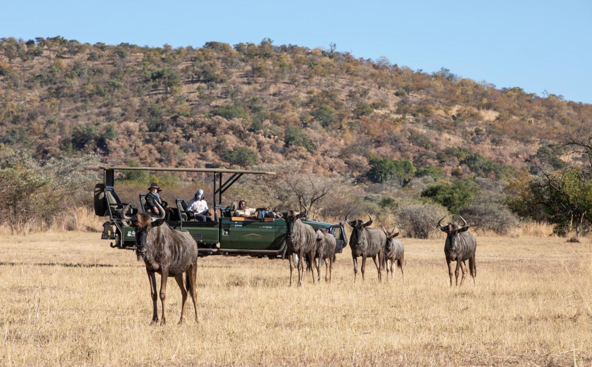 Safari Plains Vila Mabula Game Reserve Exterior foto